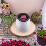 Thanksgiving wax melt warmer