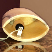oval lamp